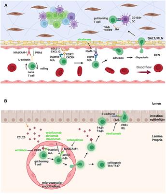 Opportunities to Target T Cell Trafficking in Pediatric Inflammatory Bowel Disease